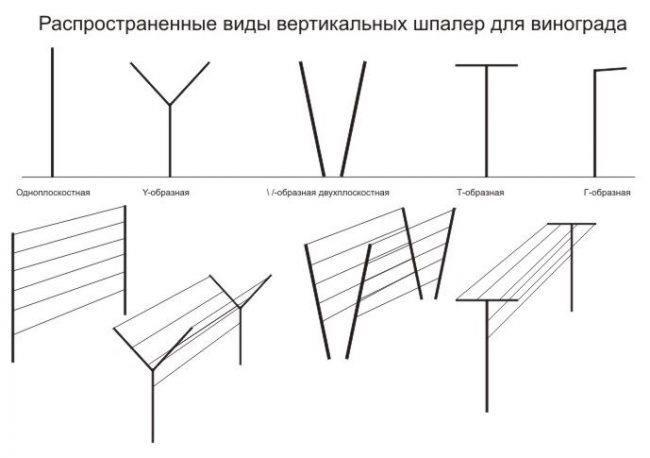 10.jpg?lang=ru